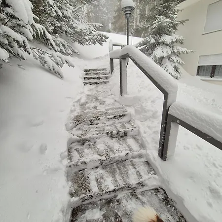 Apartment Vacation In Schoenwald im Schwarzwald